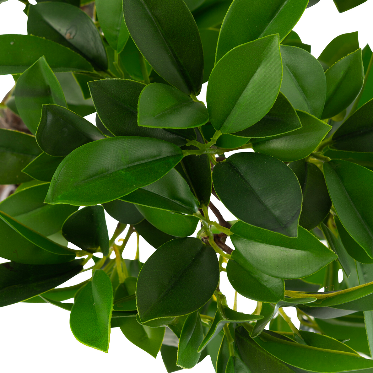 Arbre Ficus en Pot Plastique Vert/Noir Grand