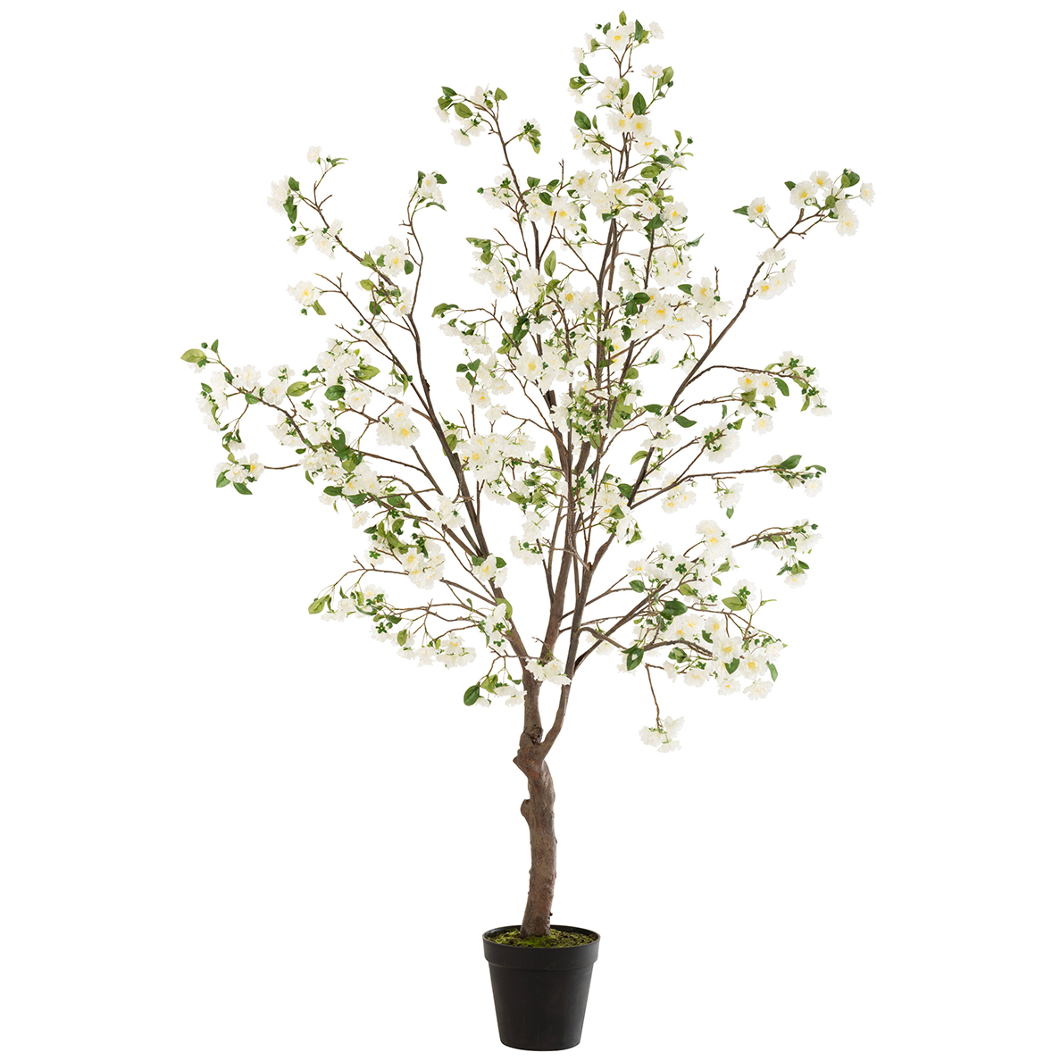 Arbre en plastique Blanc/Marron de grande taille de Blossomtree