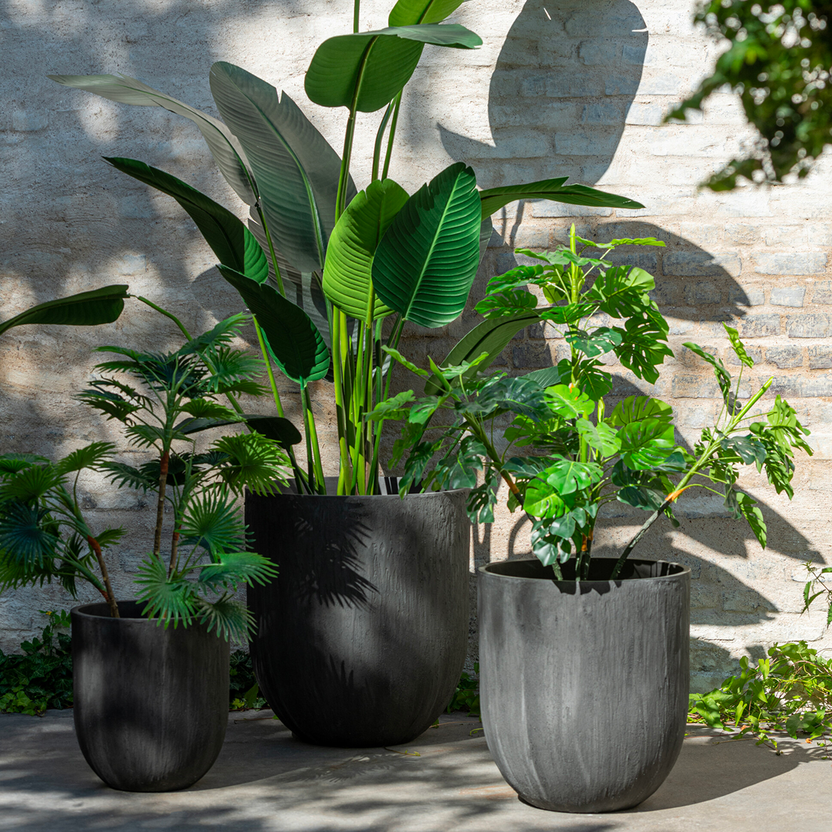 Arbre Ficus en Pot Plastique Vert/Noir Grand