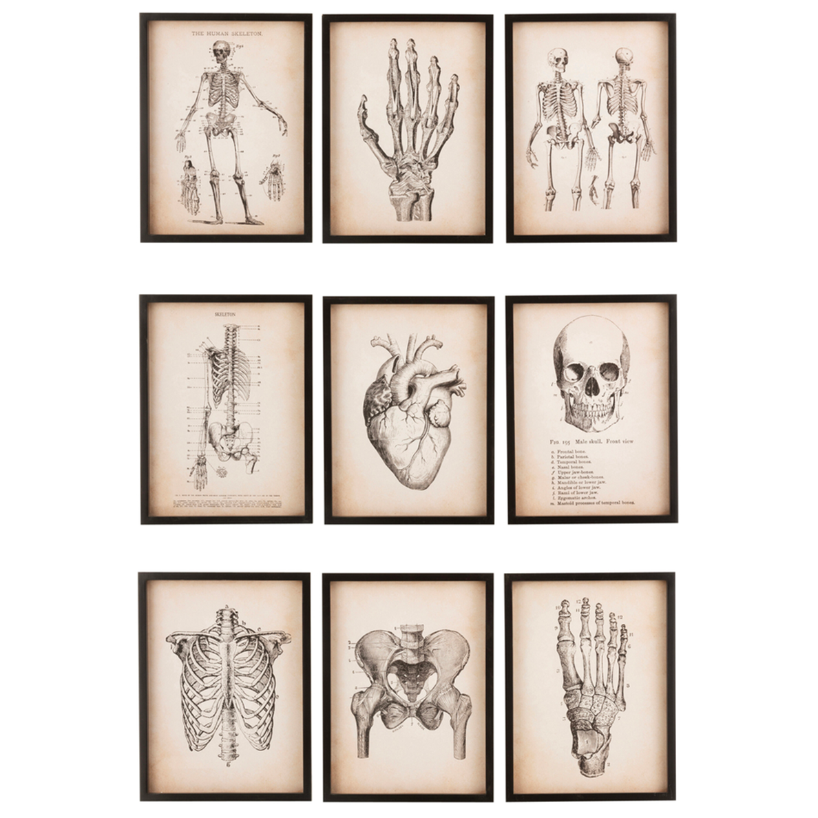 Tableaux SKULLYS 9 Assortiment de 9 by JLINE