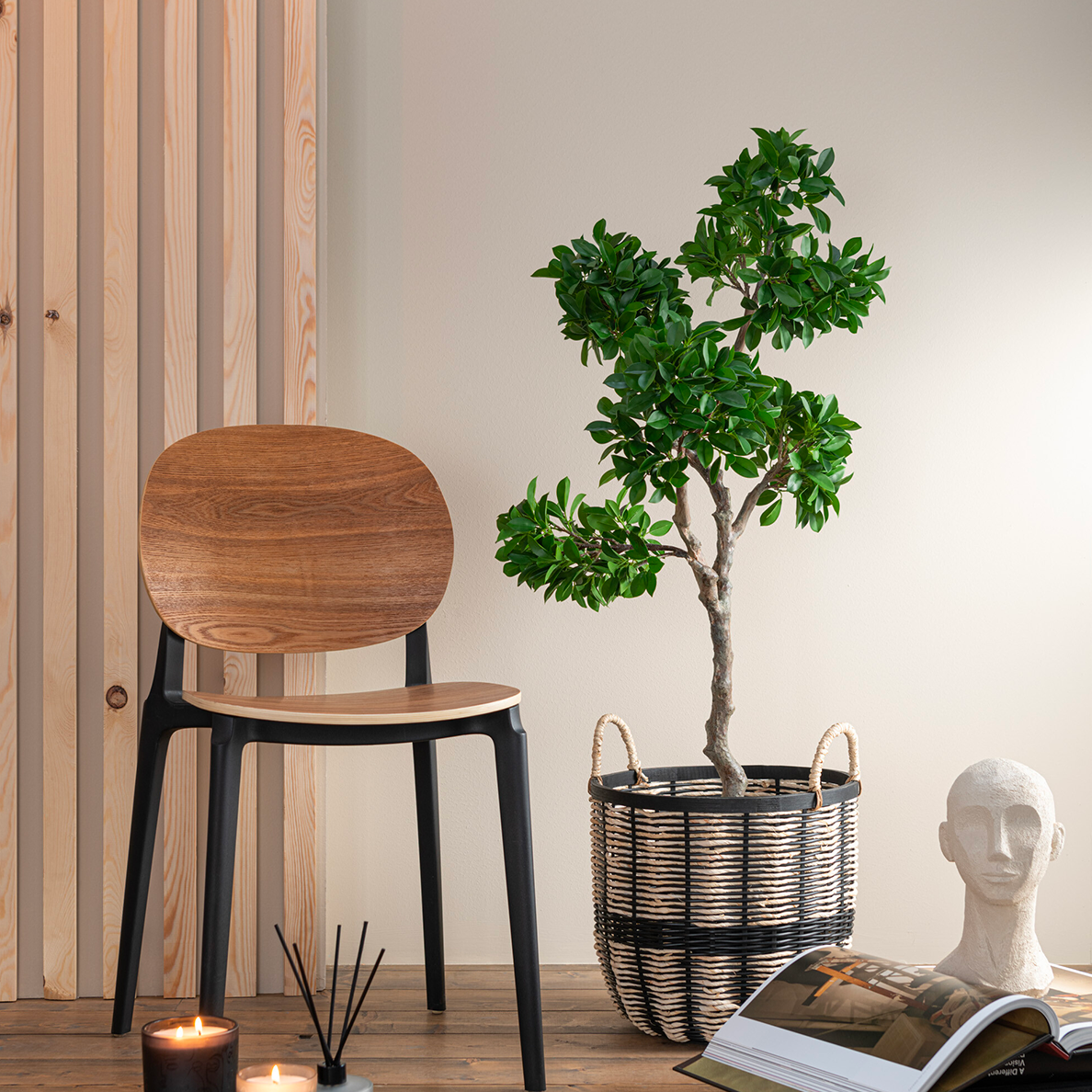 Arbre Ficus en Pot Plastique Vert/Noir Grand