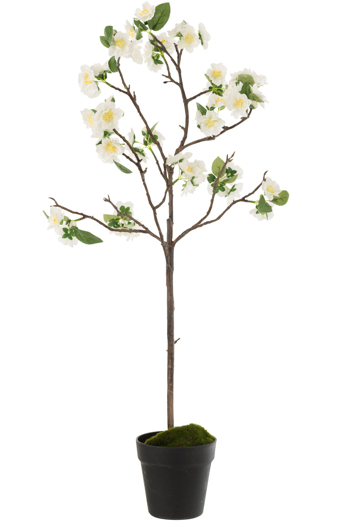 Arbre en plastique Blossomtree Blanc/Marron de taille moyenne